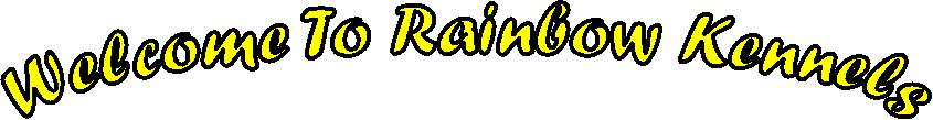 Rainbow Kennel Started Dogs
