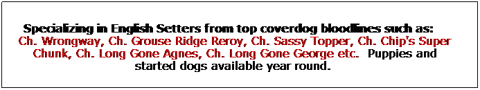 Text Box: Specializing in English Setters from top coverdog bloodlines such as:    Ch. Wrongway, Ch. Grouse Ridge Reroy, Ch. Sassy Topper, Ch. Chip's Super Chunk, Ch. Long Gone Agnes, Ch. Long Gone George etc.  Puppies and started dogs available year round.  
